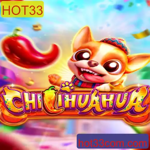 Descobrindo o Mundo de CHILIHUAHUA: Diversão Picante com HOT33