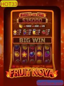 Explorando o Fascinante Mundo de FruitNova - Um Guia Completo